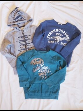 Boys Size Small Dinosaur Graphic Sweatshirts